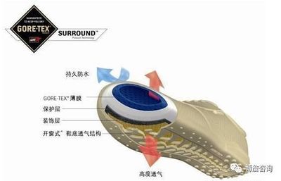 揭秘Brands 为什么Brooks布鲁克斯被称为低调而强大的跑鞋王者及其独家科技