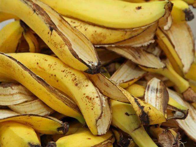 香蕉皮变成肥料和驱虫剂,这5种实用方法学一下